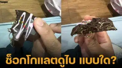 ช็อกโกแลตดูไบไส้บะหมี่ยก ถั่วงอก ต้นอ่อนทานตะวัน