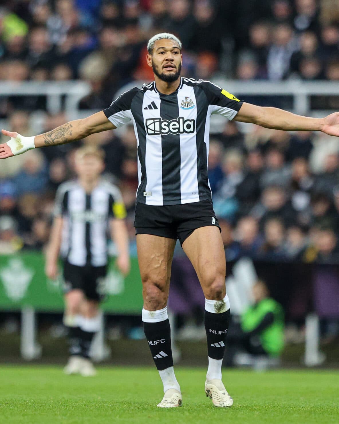 โปรแกรมมวยวันนี้ ลิงก์ดูมวยสด 17 มกราคม 2568