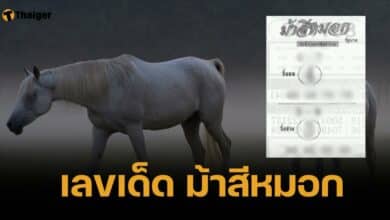 เลขเด็ด ม้าสีหมอก 1 ก.พ. 68