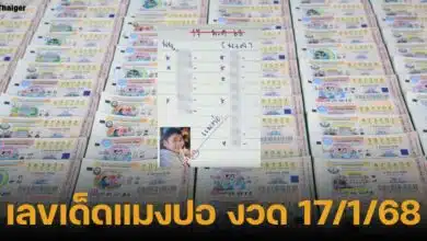 เลขเด็ดหวยรัฐบาลไทย งวด 17 มกราคม 2568 สำนักแมงปอ