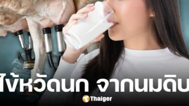 สธ. เตือน ห้ามดื่มนมดิบ หลังเจอ ไข้หวัดนก ระบาดในสัตว์เลี้ยงลูกด้วยนม