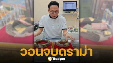 พิสูจน์แล้ว ซากงูกินหาง วัดดัง จ.สมุทรสาคร ของแท้ 100% มีผลเอกซเรย์ยืนยัน