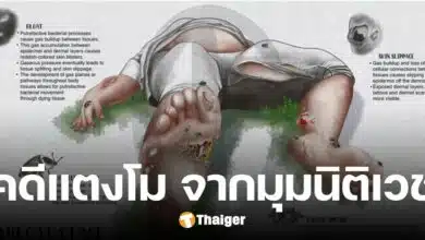 เปิดข้อมูลสู้โคนัน ทำไมศพเน่า ดูเหมือนศพที่ได้รับบาดเจ็บ กระจ่างคดีแตงโม