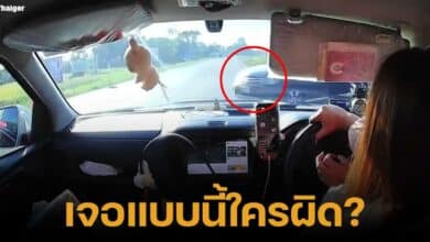 สาวขับรถ ไม่เหยียบเบรคให้รถทางขวา เกือบชนกลางแยก ชาวเน็ตเสียงแตกใครผิด