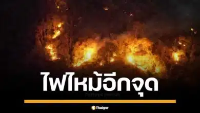 เกิดไฟป่าบริเวณเขา ต.โป่ง อ.บางละมุง จ.ชลบุรี ลุกลามต่อเนื่อง ควันท่วมอากาศ ชาวบ้านร่วมมือป้องกันไฟลามใกล้สำนักสงฆ์