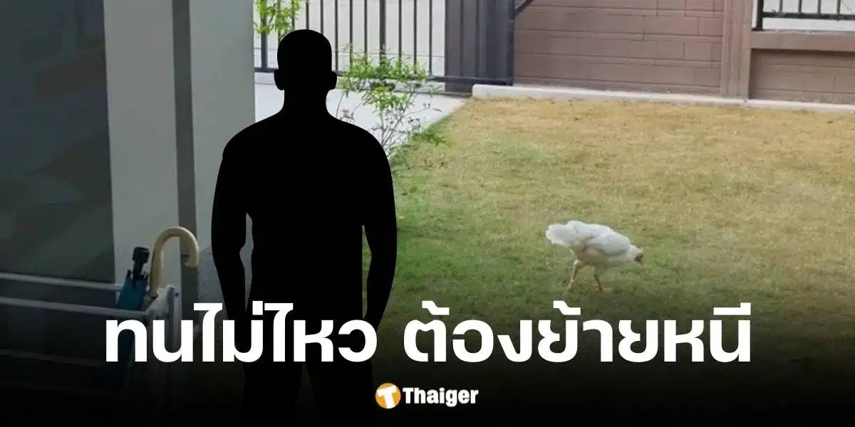 หนุ่มร้องเรียนเพื่อนบ้านเลี้ยงไก่เสียงดังรบกวน