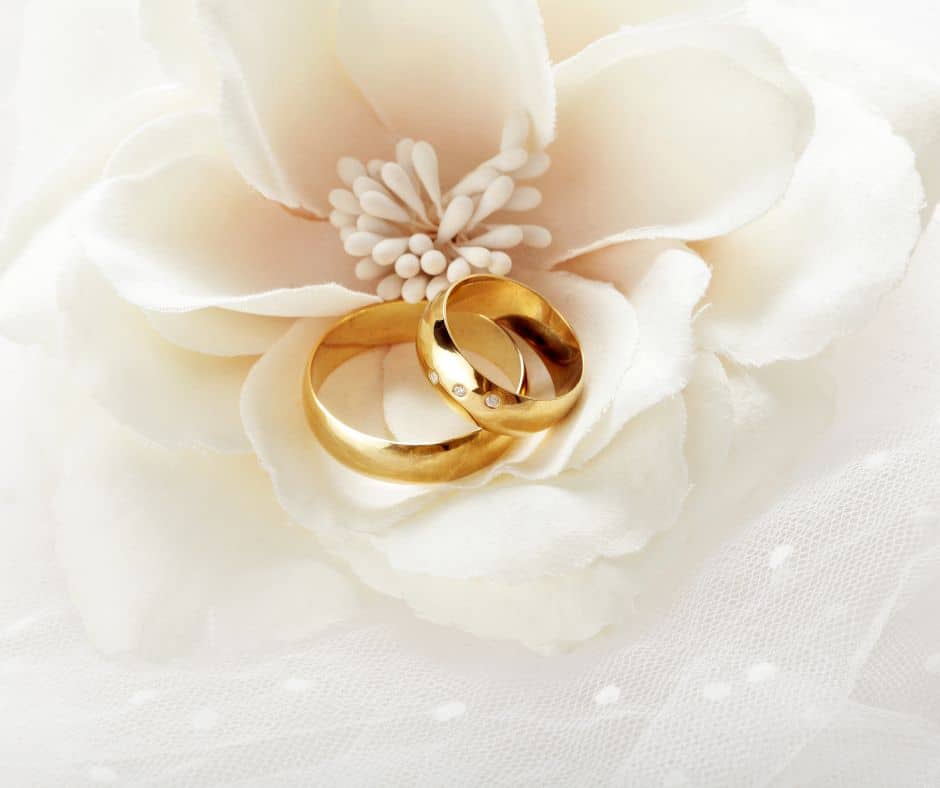 แหวนแต่งงาน 2 วงวางอยู่บนดอกไม้สีขาว