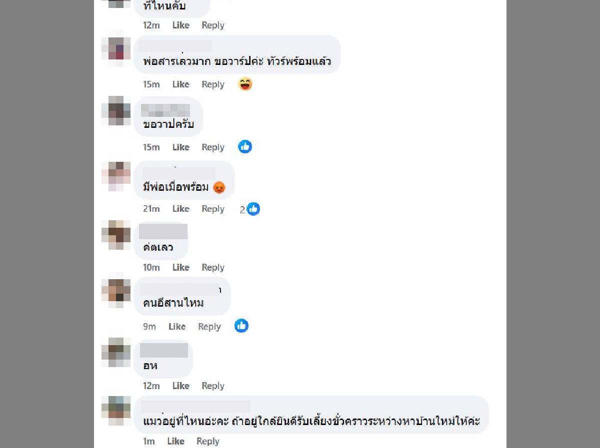 มีพ่อเมื่อพร้อม ลูกแมว