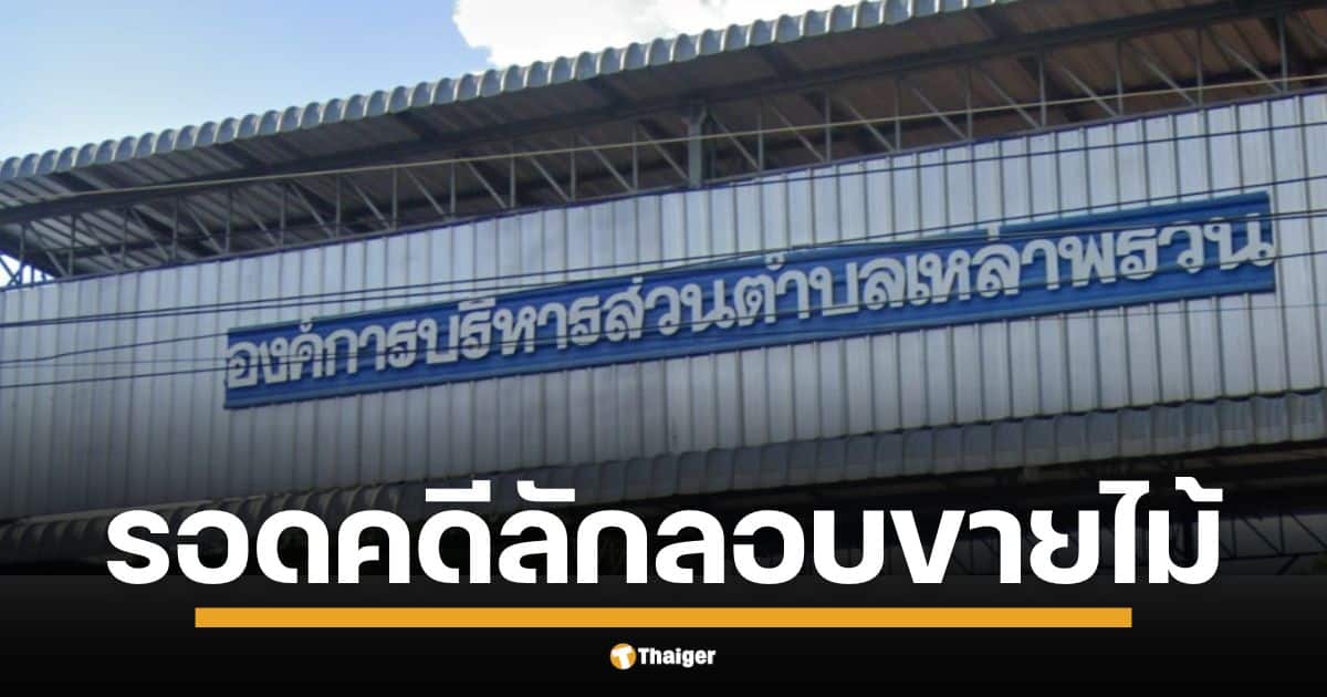 ป.ป.ช. มีมติเอกฉันท์ ตีตกข้อกล่าวหา นายก อบต.เหล่าพรวน พร้อมพวก รวม 11 ราย เอี่ยวคดี ลักลอบขายไม้ยูคาลิปตัส ในที่สาธารณะ ชี้ชัด เงินเข้าหมู่บ้าน ขาดเจตนาทุจริต รอดคุกหวุดหวิด