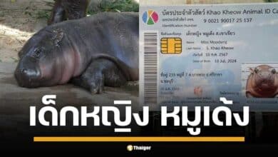 ด.ญ.หมูเด้ง ได้บัตรประชาชนแล้ว แถมเปิดประมูลรอยเท้า