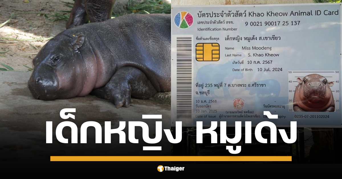 ด.ญ.หมูเด้ง ได้บัตรประชาชนแล้ว แถมเปิดประมูลรอยเท้า