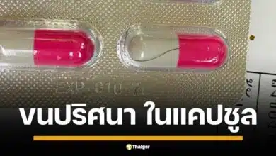 สาวโพสต์โวย พบ "ขนปริศนา" ในแคปซูลยา หลังแกะจากแผง หวั่นอันตราย จี้ อย. ตรวจสอบล็อตผลิต หวั่นกระจายวงกว้าง ด้านชาวเน็ตแห่แชร์ เตือนภัย