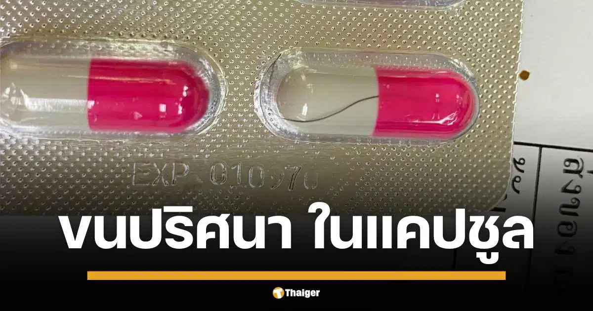 สาวโพสต์โวย พบ "ขนปริศนา" ในแคปซูลยา หลังแกะจากแผง หวั่นอันตราย จี้ อย. ตรวจสอบล็อตผลิต หวั่นกระจายวงกว้าง ด้านชาวเน็ตแห่แชร์ เตือนภัย