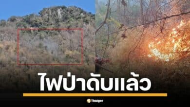 8 วัน เผาป่า ดงพญาเย็น จ.โคราช 1,700 ไร่