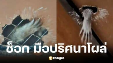 เจ้าของบ้านแชร์รูปมือปริศนาโผล่จากเพดานบ้าน