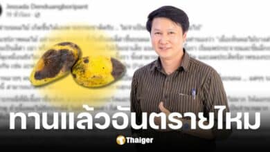 อ.เจษฎา ตอบแล้ว รอยดำบนผลไม้คืออะไร