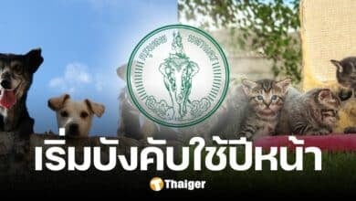 กทม. ประกาศใช้จริง กฎหมายคุมเลี้ยงสัตว์ เริ่มปีหน้า จำกัดจำนวนตามขนาดบ้าน