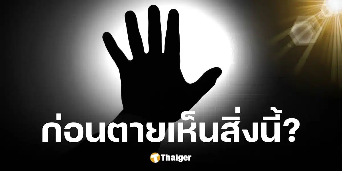 ผศ.นพ.สุรัตน์ ตันประเวช ตอบแล้ว วินาทีสุดท้ายของชีวิต สมองเห็นอะไร