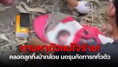 คลอดลูกทิ้งป่ากล้วย