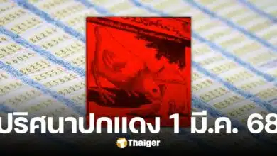 Lucky numbers, red cover puzzles, decode the image, reveal the way to the traveling lottery in Phang Nga, 1 March 2025