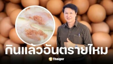 อ.เจษฎา ตอบแล้ว เม็ดสีน้ำตาลปนในไข่ขาว คือก้อนแคลเซียม กินได้ปลอดภัย