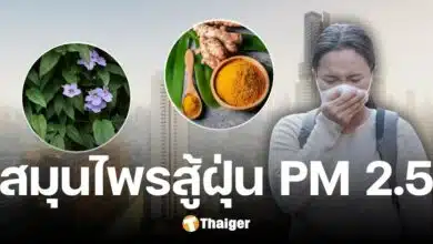 Public Health recommends herbs to care for the respiratory system and skin from PM2.5 dust.