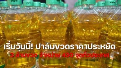 ปาล์มขวด ราคา