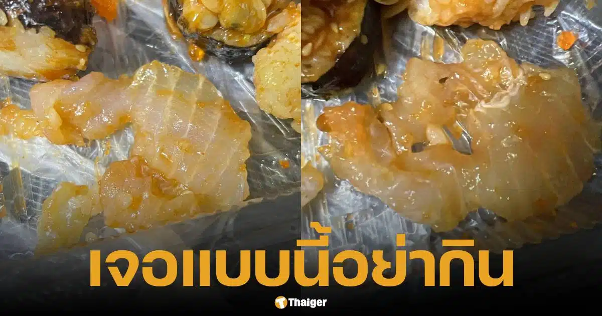 ซุชิแซลมอนปลอมทำจากปลาดอลลี่ดิบ