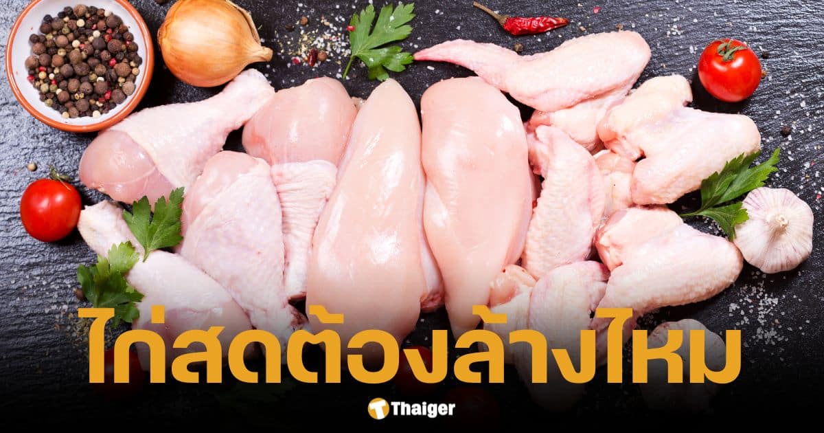 ไขสงสัย ไก่สด ต้องล้างก่อนปรุงหรือไม่ แบบไหนปลอดภัย ไกลเชื้อโรค