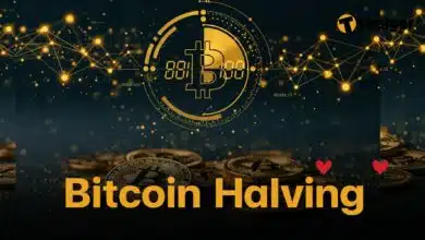 bitcoin halving