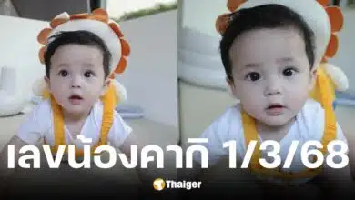 เลขเด็ด น้องคากิ งวดวันที่ 1 มีนาคม 2568