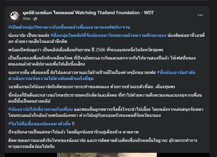 วอชด็อกชี้แจง ปมคลิปหนุ่มโยนหมา เป็นคลิปเก่า