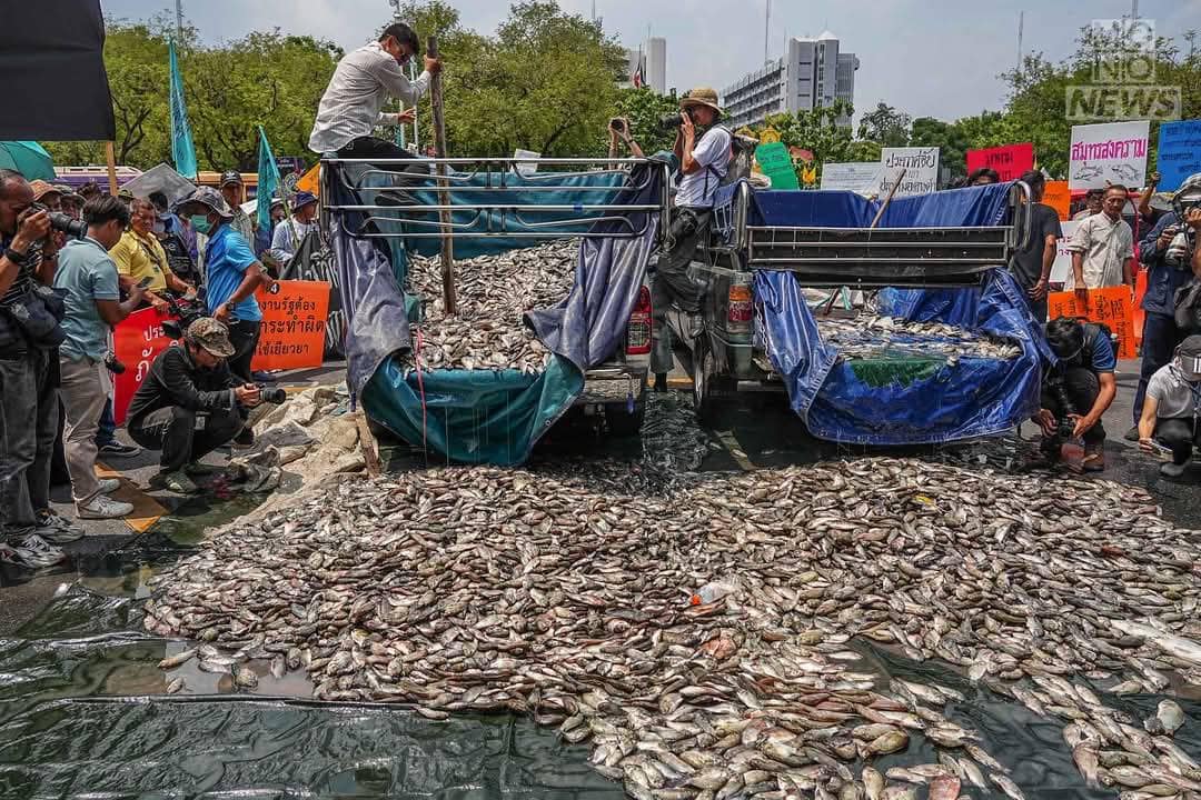 กลุ่มเกษตรกร 19 จังหวัด รวมตัวประท้วงปัญหาปลาหมอคางดำ