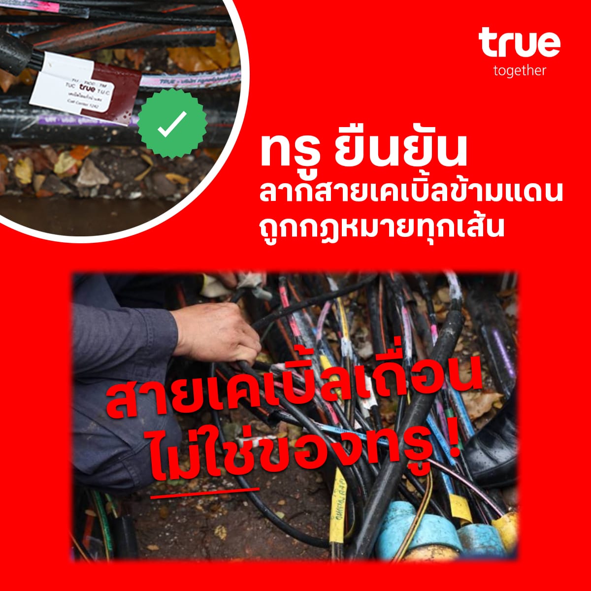 สายเคเบิ้ลใยแก้วข้ามแดนของทรูทุกจุด ถูกต้องตามกฎหมาย ไม่เถื่อน
