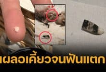 ลูกค้าโวย กินปลาร้านดังเชียงใหม่ เจอเศษเซรามิก ฟันแตก เจ้าของร้านปัดรับผิดชอบ