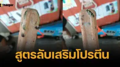 อวสานอาหารทุกมื้อ หนุ่มผวาเจอ &quot;งูพิษ&quot; ในไอติมทั้งตัว โชคดีเกือบกิน