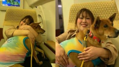 องค์หริภาหมูแดง ขึ้นเครื่องบินครั้งแรก