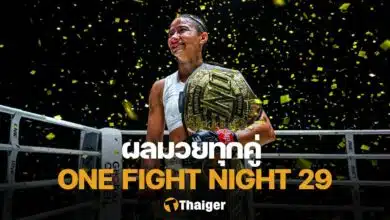 ONE Fight Night 29