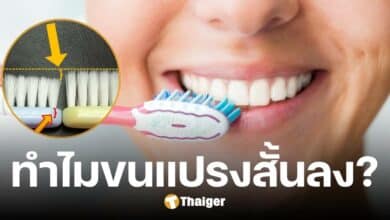 กระทู้ฮอต ขนแปรงสีฟันสั้นลง เพราะอะไร โซเชียลแห่กังวล ไมโครพลาสติกเข้าร่างกาย