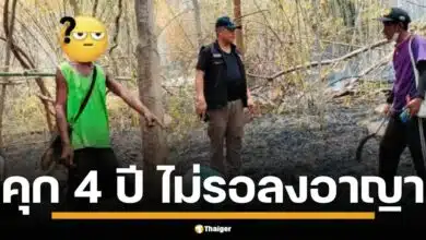 ศาลพิษณุโลกสั่งคุก 4 ปี มือเผาป่า ปรับ 133 ล้านบาท ไม่รอลงอาญา คดีทำลายป่าสงวน 2 พันไร่