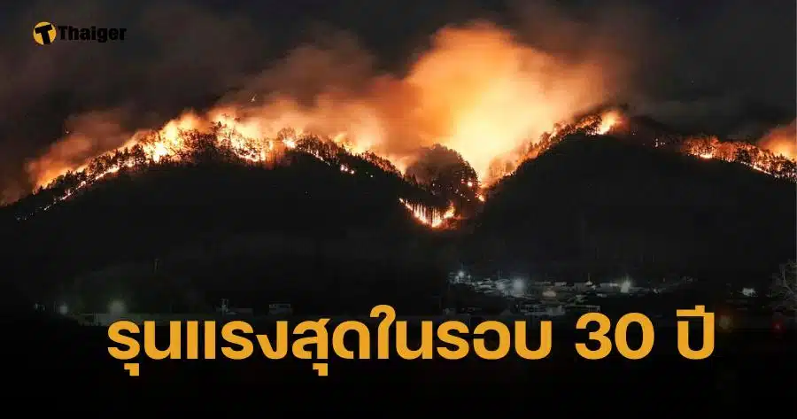 วิกฤตไฟป่าญี่ปุ่น เผากว่า 1.3 หมื่นไร่ อพยพด่วน 4.6 พันราย แรงสุดรอบ 30 ปี