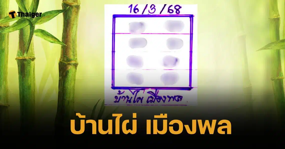 เลขเด็ด บ้านไผ่ เมืองพล 16 มี.ค. 68 คู่ท้ายสองตัว 7-8-9 มาแรงเขียวฉ่ำ | Thaiger ข่าวไทย