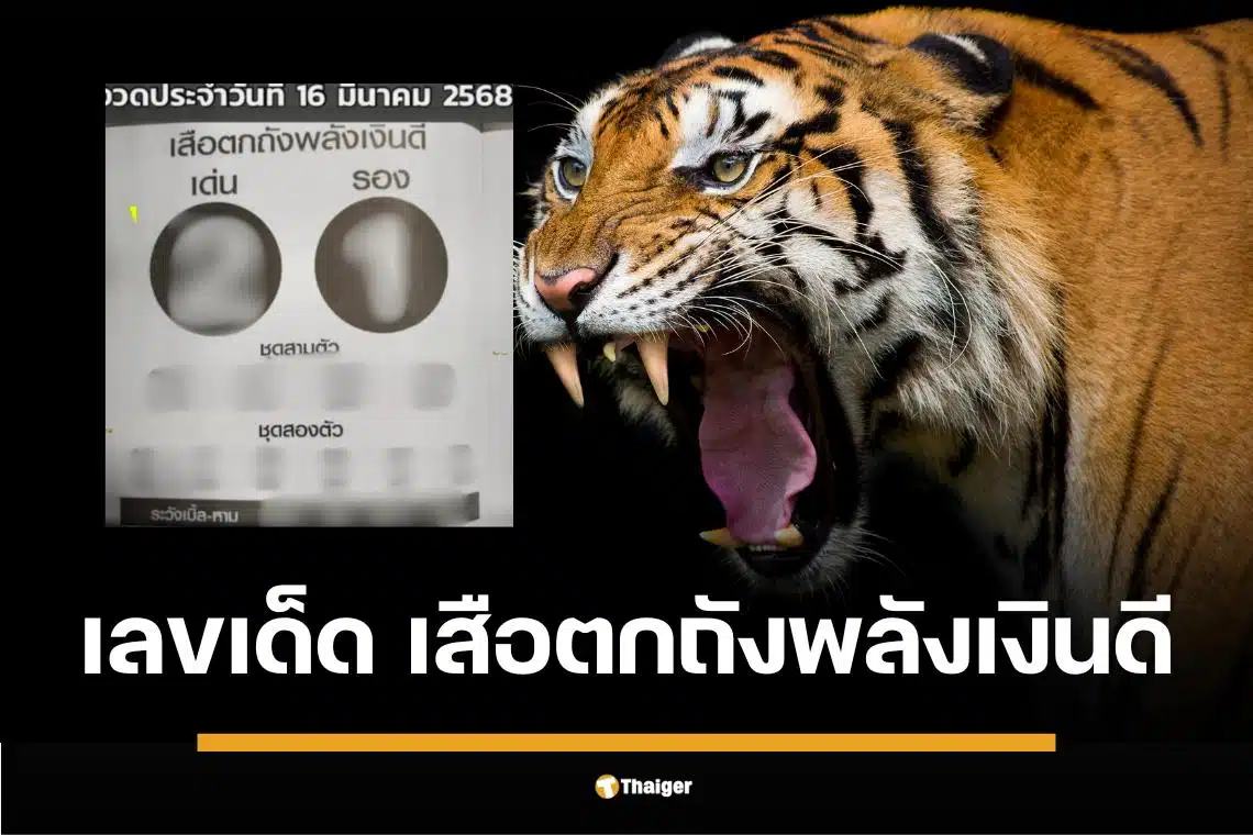 เลขเด็ด เสือตกถังพลังเงินดี 16 มี.ค. 68 พยัคฆ์ร้าย เลี่ยงเบิ้ลหาม 4 ชุด