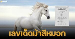 เลขเด็ดม้าสีหมอก งวด 16 มีนาคม 2568