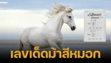 เลขเด็ดม้าสีหมอก งวด 16 มีนาคม 2568