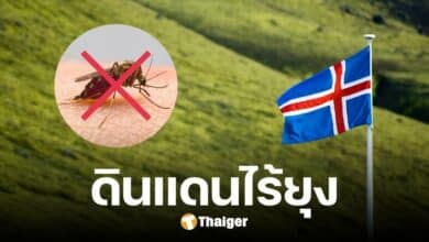 หลายคนไม่รู้ ไอซ์แลนด์ เป็นประเทศไร้ยุง เปิดเหตุผลเป็นดินแดนปลอดแมลงร้าย