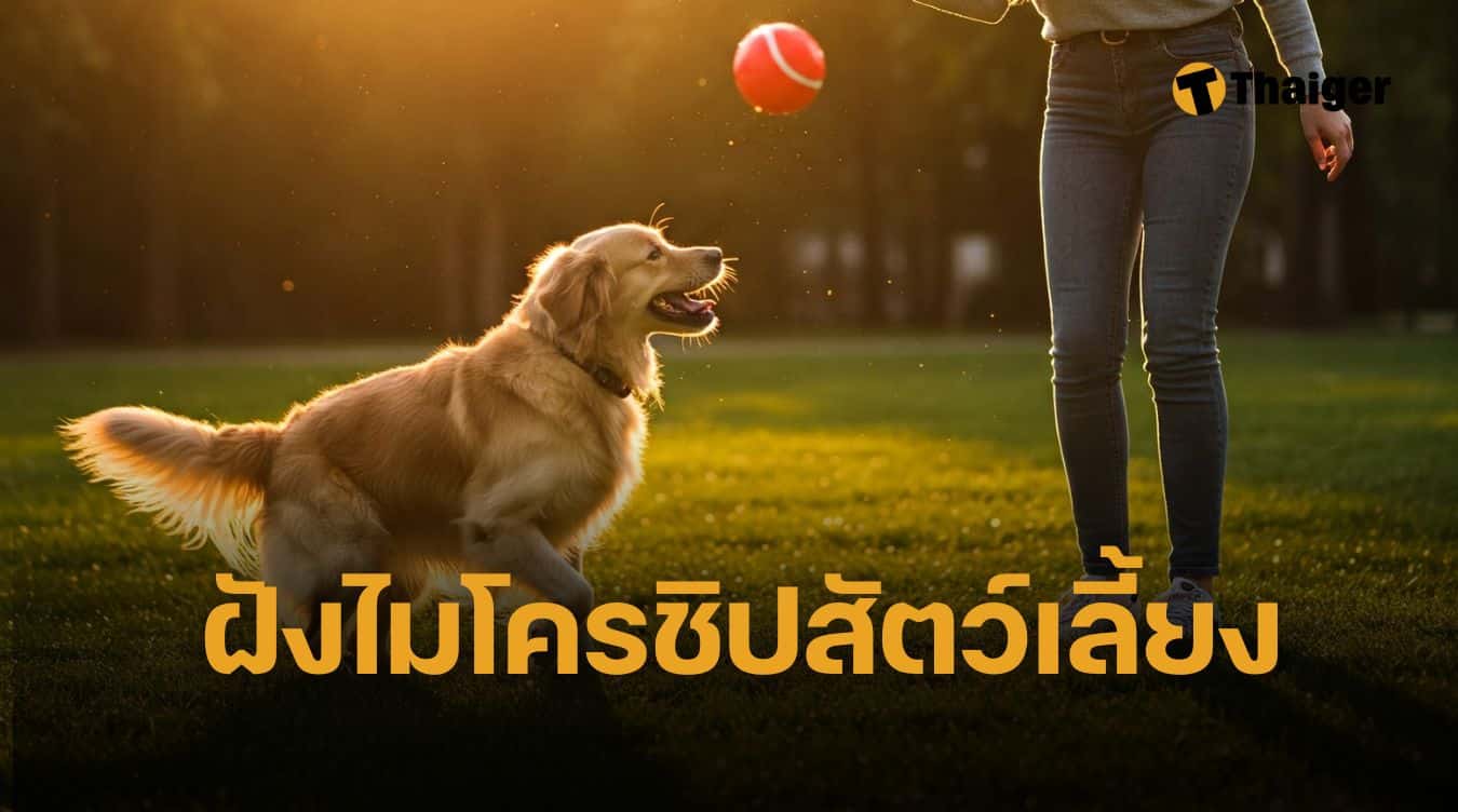 Partnerhub เปิดตัวแคมเปญ ‘Microchip Everywhere, Care for Every Pet’ สนับสนุนฝังไมโครชิปสัตว์เลี้ยง