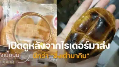 ขนมปังอบเซเว่น สั่งเต่ามากิน