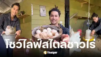 เพ็ชร ฐกฤต เก็บไข่ไก่สีสวยจากฟาร์มส่วนตัว