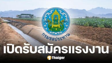 กรมชลประทาน รับสมัครงานรอบใหม่ ต.ค. 67 - ก.ย. 68 รายได้เฉลี่ยสองหมื่นบาท